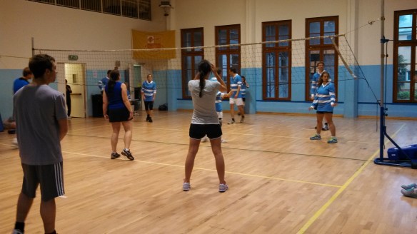 I'm in the royal blue and tennis skirt