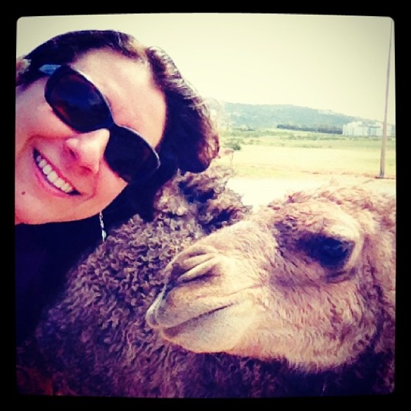Camel Selfie