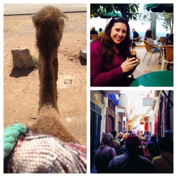 A collage of my Morocco experience
